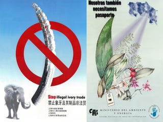 IUCN (International Union for Conservation of Nature)
 