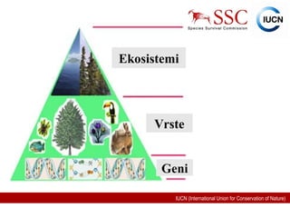 IUCN (International Union for Conservation of Nature)
Ekosistemi
Vrste
Geni
 