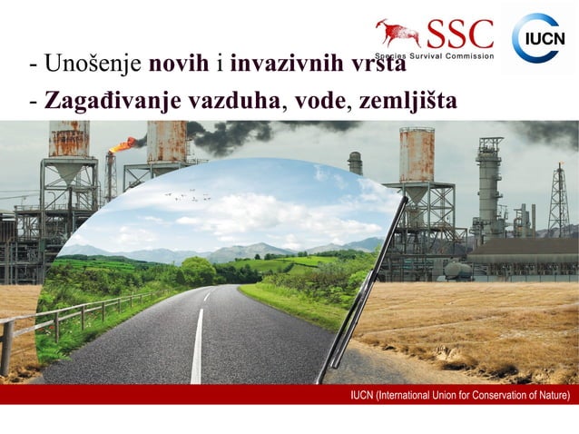 Biodiverzitet | PPT