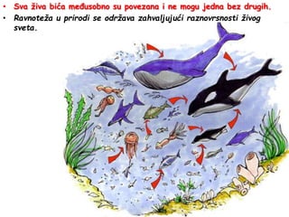 • Sva živa bića međusobno su povezana i ne mogu jedna bez drugih.
• Ravnoteža u prirodi se održava zahvaljujući raznovrsnosti živog
sveta.
 