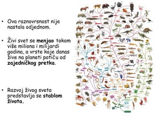 • Ova raznovrsnost nije
nastala odjednom.
• Živi svet se menjao tokom
više miliona i milijardi
godina, a vrste koje danas
žive na planeti potiču od
zajedničkog pretka.
• Razvoj živog sveta
predstavlja se stablom
života.
 