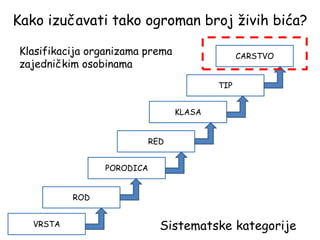 VRSTA
Kako izučavati tako ogroman broj živih bića?
ROD
PORODICA
RED
KLASA
TIP
CARSTVO
Sistematske kategorije
Klasifikacija organizama prema
zajedničkim osobinama
 