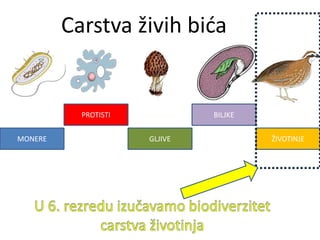 Carstva živih bića
MONERE
PROTISTI
GLJIVE
BILJKE
ŽIVOTINJE
 