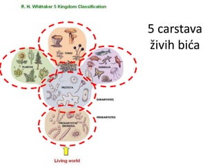 5 carstava
živih bića
 