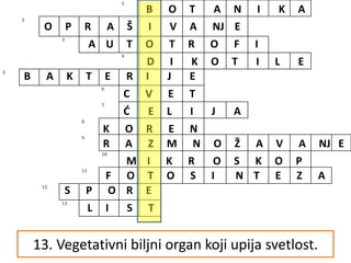 1. Biološka disciplina koja proučava biljke.
1
2
3
4
5
6
7
8
9
10
11
12
13
B O T A N I K A
2. Prenošenje polena sa prašnika na žig tučka.
O P R A Š I V A NJ E
3. Živa bića koja sama proizvode hranu.
A U T O T R O F I
4. Biljke čije seme ima dva kotiledona.
D I K O T I L E
5. Organizmi koji u ćeliji nemaju jedro.
B A K T E R I J E
6. Reproduktivni organ biljaka.
C V E T
7. Osnovna jedinica građe i funkcije tela.
Ć E L I J A
8. Vegetativni organ biljke koji upija vodu.
K O R E N
9. Osobina živih bića- stvaranje potomstva.
R A Z M N O Ž A V A NJ E
10. Laboratorijska sprava za posmatranje veoma malih objekata.
M I K R O S K O P
11. Proces proizvodnje hrane uz pomoć vode, ugljen-dioksida i Sunčeve
svetlosti.
F O T O S I N T E Z A
12. Ćelije koje služe za ramnožavanje kod mahovina, paprati i gljiva.
S P O R E
13. Vegetativni biljni organ koji upija svetlost.
L I S T
 