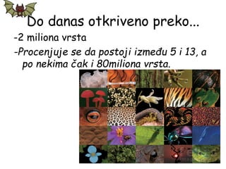 Do danas otkriveno preko...
-2 miliona vrsta
-Procenjuje se da postoji između 5 i 13, a
po nekima čak i 80miliona vrsta.
 