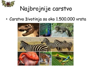 Najbrojnije carstvo
• Carstvo životinja sa oko 1.500.000 vrsta
 