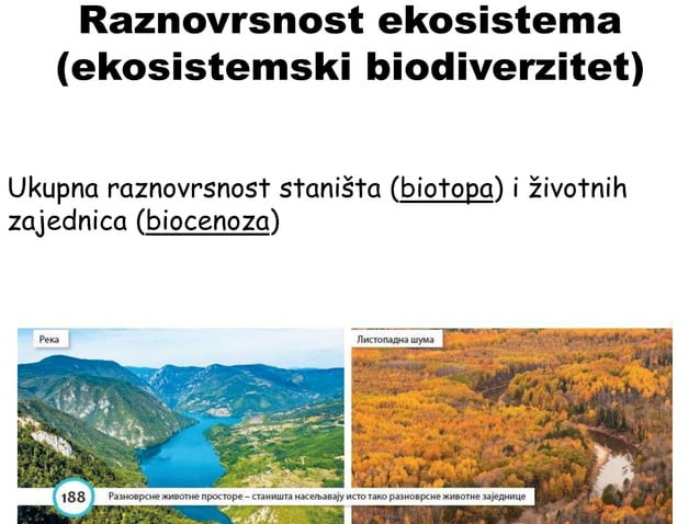 biodiverzitet-pptx