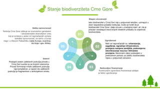 Stanje biodiverziteta Crne Gore
Ugroženost
Neki od najznačajnijih su: urbanizacija,
zagađenje, izgradnja infrastrukture,
promjena namjene zemljišta, prekomjerno
iskorišćavanje resursa i klimatske
promjene. Nacionalni ciljevi postavljeni u
prethodnom periodu za zaštitu biodiverziteta
nijesu u potpunosti ostvareni.
Nedovoljno finansiranje
Kontinuirano ograničeno finansiranje ozbiljan
je faktor ugrožavanja.
Izazovi
Postojeći sistem zaštićenih područja prirode u
Crnoj Gori suočen je sa brojnim izazovima.
Proces formiranja mreže zaštićenih područja
nije kompletiran, a najveći dio zaštićenih
područja je fragmentiran u teritorijalnom smislu.
Velika raznovrsnost
Teritorija Crne Gore odlikuje se izvanrednim genetskim
i ekosistemskim diverzitetom vrsta
koji je svrstava u jedan od najznačajnijih centara
biološke raznovrsnosti, ne samo u Evropi
nego i u čitavom Palearktiku (cijela Europa, izvantrop.
dio Azije i sjev. Afrike).
Stepen očuvanosti
Iako biodiverzitet u Crnoj Gori nije u potpunosti istražen, uzimajući u
obzir raspoložive podatke institucija, može se tvrditi da je
biodiverzitet Crne Gore i dalje očuvan u značajnoj mjeri, ali i da je
prisutan narastajući trend brojnih direktnih pritisaka na vrijednost
biodiverziteta.
01
02
0304
05
 