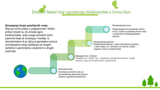 Direktni faktori koji ugrožavaju biodiverzitet u Crnoj Gori
Navodnjavanje
Korišćenje prirodnih voda za
navodnjavanje (planinska jezera)
dodatno ugrožava biodiverzitet...
Eksploatacija šuma
Eksploatacija šuma pokazuje rastući
trend u količini posiječene drvne mase
u prethodnom desetogodišnjem
periodu.
Eksploatacija šljunka
Eksploatacija šljunka u nekim područjima (posebno
u dolini rijeka Lim i Morača) ima veoma izražen
negativni uticaj na biodiverzitet.
Nelegalan lov i ribolov
Nelegalni lov i ribolov, kao i neplansko sakupljanje šumskih i drugih
plodova mogu biti dodatni faktori ugrožavanja.
Smanjenje broja autohtonih vrsta
Razvoj novih praksi u poljoprivredi i tržišni
pritisci doveli su do erozije agro-
biodiverziteta, prije svega domaćih sorti i
pasmina koje se smanjuju i nestaju iz
domaćinstava ili je njihova genetska osnova
promijenjena zbog ukrštanja sa drugim
sortama i pasminama uvezenim iz drugih
područja.
 