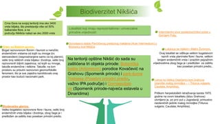 Lukavica sa Velikim i Malim Žurimom,
Ovaj lokalitet se odlikuje velikim bogatstvom
raznih vrsta planinske flore i faune, velikim
brojem endemičnih vrsta i izrazitim pejzažnim
vrijednostima zbog čega je i predložen za zaštitu
kao poseban prirodni predio..
Na teritoriji opštine Nikšić do sada su
zaštićena tri objekta prirode: Botanička
bašta (Arboretum) porodice Kovačević na
Grahovu (Spomenik prirode) i park-šuma
Trebjesa (Posebni prirodni predio,
važno IPA područje) i Gornjepoljski
vir (Spomenik prirode-najveća estavela u
Dinaridima)
Lokaliteti koji imaju reprezentativne i univerzalne
prirodne vrijednosti:
Orjen sa Bijelom gorom,
Bogat raznovrsnom florom i faunom a naročito
endemičnim vrstama od kojih su mnoge tzv.
stenoendemi (rasprostranjene samo na toj planini),
veliki broj reliktnih vrsta biljaka i životinja, veliki broj
raznovrsnih biljnih zajednica, od kojih su mnoge,
takođe endemične i reliktne. Takođe, na tom
prostoru su prisutni raznovrsni geomorfološki
fenomeni, što je sve zajedno kandidovalo ovaj
prostor kao budući nacionalni park.
Studenačke glavice,
Veliko bogatstvo raznovrsne flore i faune, veliki broj
endemičnih vrsta biljaka i životinja, zbog čega je i
predložen za zaštitu kao poseban prirodni predio.
Lokva na Velikoj Osječenici kod Grahova
(stanište malog mrmoljka – – Triturus vulgaris;
Caudata; Amphibia),
Prilikom herpetoloških istraživanja karsta 1970.
godine na ovom lokalitetu (blizu Grahova)
utvrdjeno je, po prvi put u Jugoslaviji, prirsustvo
neoteničnih jedinki malog mrmoljka (Triturus
vulgaris; Caudata; Amphibia).
Gorostasno stablo Pančićevog prelaznog makljena (Acer intermedium) u
Broćancu kod Nikšića
Intermitentni izvor (potajnica)Vidov potok u
Gornjem Polju.
Crna Gora na svojoj teritoriji ima oko 3400
vrsta biljaka, što predstavlja više od 50%
balkanske flore, a na
području Nikšića nalazi se oko 2000 vrsta
Biodiverzitet Nikšića
 