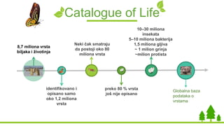 Catalogue of Life
8,7 miliona vrsta
biljaka i životinja
Neki čak smatraju
da postoji oko 80
miliona vrsta
10–30 miliona
insekata
5–10 miliona bakterija
1,5 miliona gljiva
~ 1 milion grinja
~milion protista
identifikovano i
opisano samo
oko 1,2 miliona
vrsta
preko 80 % vrsta
još nije opisano
Globalna baza
podataka o
vrstama
 