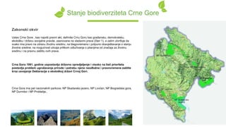 Stanje biodiverziteta Crne Gore
Ustav Crne Gore , kao najviši pravni akt, definiše Crnu Goru kao građansku, demokratsku,
ekološku i državu socijalne pravde, zasnovane na vladavini prava (član 1), a zatim utvrđuje da
svako ima pravo na zdravu životnu sredinu, na blagovremeno i potpuno obavještavanje o stanju
životne sredine, na mogućnost uticaja prilikom odlučivanja o pitanjima od značaja za životnu
sredinu i na pravnu zaštitu ovih prava.
Crna Gora 1991. godine uspostavlja državno opredjeljenje i visoko na listi prioriteta
postavlja problem ugrožavanja prirode i potrebu njene neodložne i pravovremene zaštite
kroz usvajanje Deklaracije o ekološkoj državi Crnoj Gori.
Crna Gora ima pet nacionalnih parkova: NP Skadarsko jezero, NP Lovćen, NP Biogradska gora,
NP Durmitor i NP Prokletije..
Zakonski okvir
 
