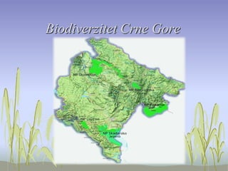 Biodiverzitet Crne Gore
 