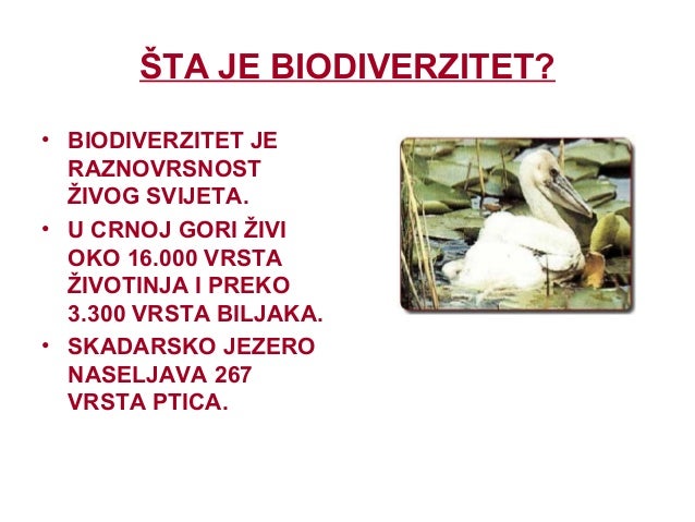 Biodiverzitet i njegova zastita