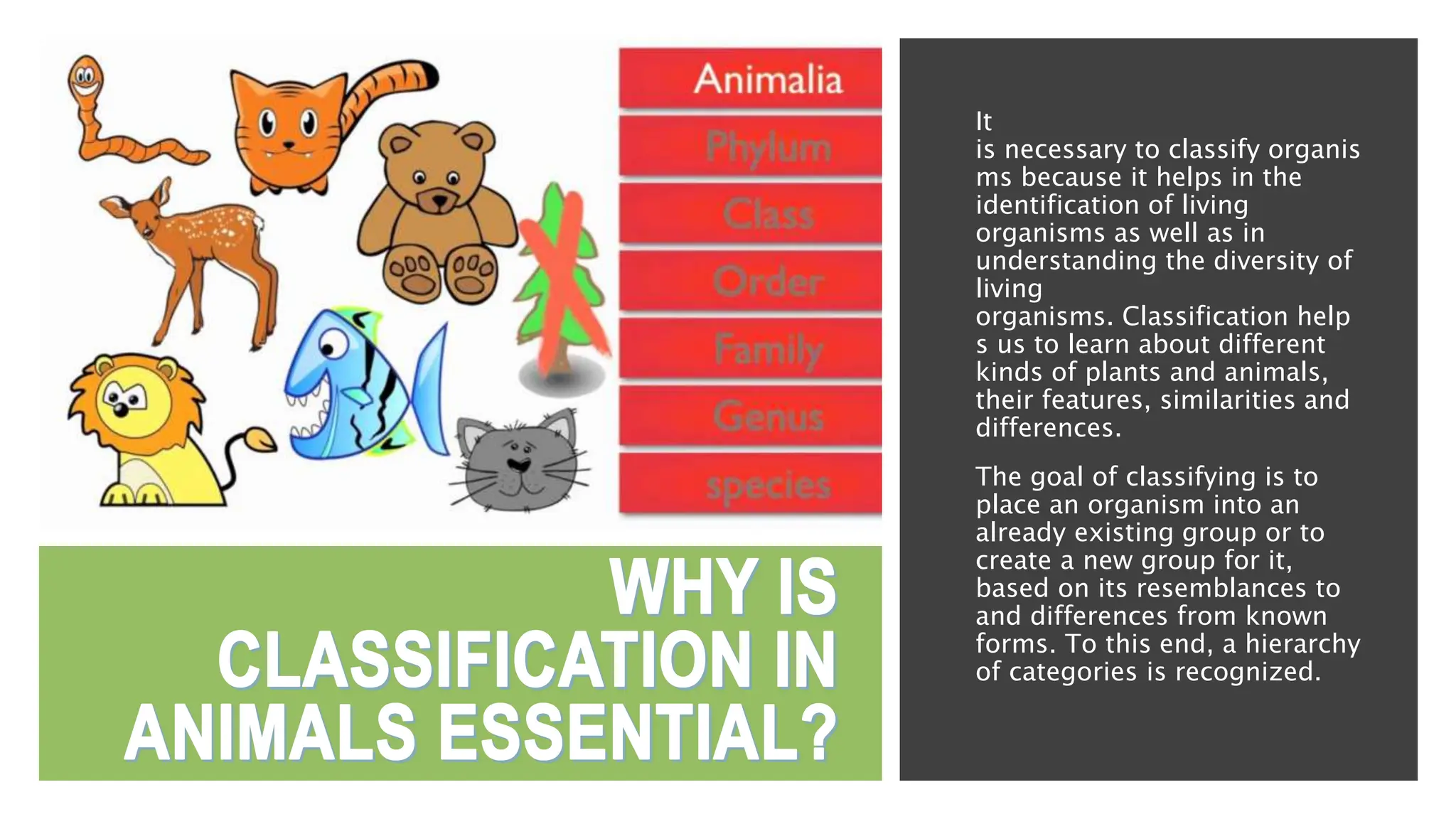 Importance of Biodiversity and classification | PPTX