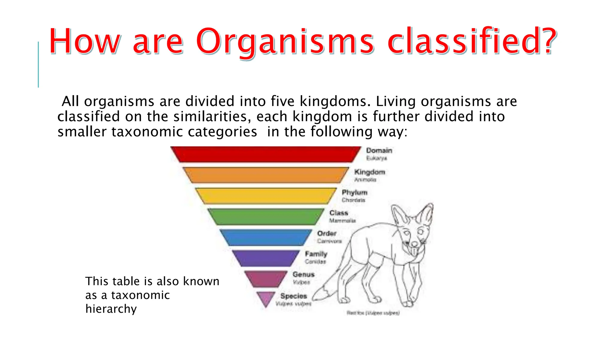 Importance of Biodiversity and classification | PPTX