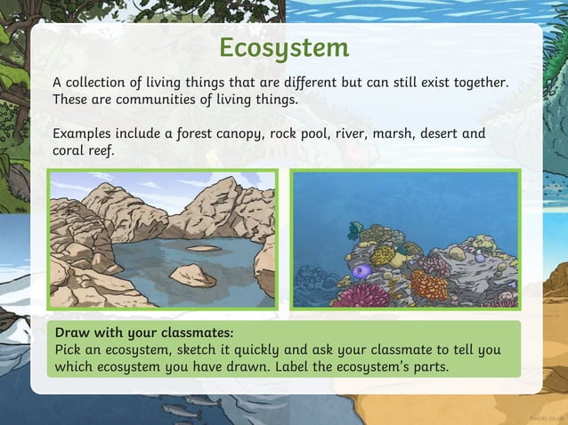 biodivesity ppt for environment science.pptx | Geography | Science