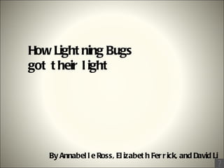 How Lightning Bugs got their light By Annabelle Ross, Elizabeth Ferrick, and David Li 
