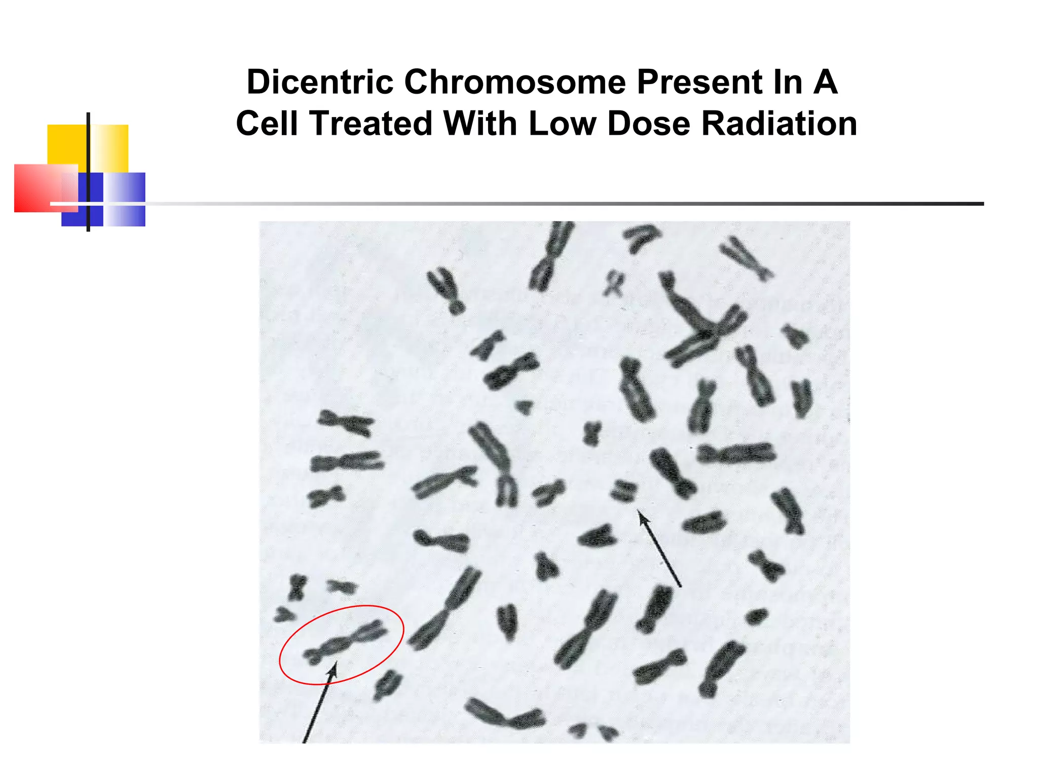 Biodosimetry PPT Biodosimetry PPT