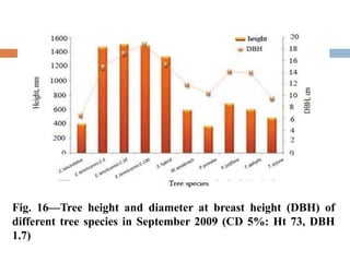 Fig. 16—Tree height and diameter at breast height (DBH) of
different tree species in September 2009 (CD 5%: Ht 73, DBH
1.7)
 