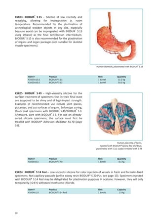 KSK03 BIODUR® S 15 – Silicone of low viscosity and
reactivity, allowing for impregnation at room
temperature. Recommended for the plastination of
archeological wooden objects of any size, especially
because wood can be impregnated with BIODUR® S 15
using ethanol as the final dehydration intermedium.
BIODUR® S 15 is also recommended for the plastination
of organs and organ packages (not suitable for skeletal
muscle specimens).

Human stomach, plastinated with BIODUR® S 15

Item #
KSK03A15.0
KSK03A50.0

Product
BIODUR® S 15
BIODUR® S 15

Unit
1 barrel
1 barrel

Quantity
15.0 kg
50.0 kg

KSK05 BIODUR® S 49 – High-viscosity silicone for the
surface treatment of specimens that in their final state
are supposed to be shiny and of high-impact strength.
Examples of recommended use include joint planes,
placentas, and cut surfaces of organs. Before gas curing,
thinly coat specimens with BIODUR® S 49/BIODUR® S 3.
Afterward, cure with BIODUR® S 6. For use on alreadycured silicone specimens, the surface must first be
treated with BIODUR® Adhesion Mediator AS 70 (page
16).

Human placenta of twins,
injected with BIODUR® Epoxy Red and Blue,
plastinated with S 10, surface treated with S 49

Item #
KSK05A0.5

Product
BIODUR® S 49

Unit
1 bottle

Quantity
0.5 kg

KSK04 BIODUR® S 14 Red – Low-viscosity silicone for color injection of vessels in fresh and formalin-fixed
specimens. Not capillary-passable (unlike epoxy resin BIODUR® E 20 Pus; see page 13). Specimens injected
with BIODUR® S 14 Red may be dehydrated for plastination purposes in acetone. However, they will only
temporarily (<24 h) withstand methylene chloride.
Item #
KSK04A1.0

10

Product
BIODUR® S 14 Red

Unit
1 bottle

Capacity
1.0 kg

 