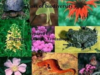 Loss of biodiversity
Prepared by
Elegbeleye Oladipo Ayodamope
 