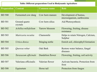Table: Different preparations Used in Biodynamic Agriculture
Preparation Content Common name Role
BD 500 Fermented cow dung Cow horn manure Development of humus,
microorganism, earthworms
BD 501 Ground quartz
crystals
Cow horn silica Aid Photosynthesis
BD 502 Achillea millefolium Yarrow blossom Flowering, fruiting, disease
resistance
BD 503 Matricaria recutita Chamomile Helps to retain Nitrogen, Calcium,
Sulphur
BD 504 Urtica dioica Stinging nettle Enrich soil, chlorophyll formation
BD 505 Quercus robur Oak Bark Restore water balance, fungal
diseases
BD 506 Taraxacum officinale Dandelion flower Flowering, fruiting, soil activity
BD 507 Valeriana officinalis Valerian flower Activate bacteria. Protection from
frost
BD 508 Equisetum Horse tail Protection from fungus
 