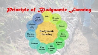 Biodynamic farming: Working with the energies to create and maintain ...