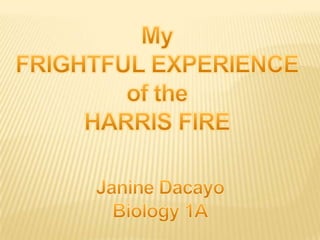 My FRIGHTFUL EXPERIENCE of the HARRIS FIRE Janine Dacayo Biology 1A 