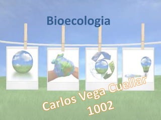 Bioecologia
 