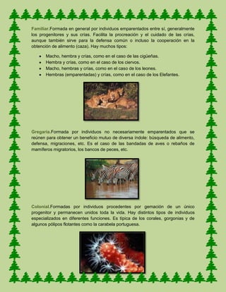 Familiar.Formada en general por individuos emparentados entre sí, generalmente
los progenitores y sus crías. Facilita la procreación y el cuidado de las crías,
aunque también sirve para la defensa común o incluso la cooperación en la
obtención de alimento (caza). Hay muchos tipos:
Macho, hembra y crías, como en el caso de las cigüeñas.
Hembra y crías, como en el caso de los ciervos.
Macho, hembras y crías, como en el caso de los leones.
Hembras (emparentadas) y crías, como en el caso de los Elefantes.
Gregaria.Formada por individuos no necesariamente emparentados que se
reúnen para obtener un beneficio mutuo de diversa índole: búsqueda de alimento,
defensa, migraciones, etc. Es el caso de las bandadas de aves o rebaños de
mamíferos migratorios, los bancos de peces, etc.
Colonial.Formadas por individuos procedentes por gemación de un único
progenitor y permanecen unidos toda la vida. Hay distintos tipos de individuos
especializados en diferentes funciones. Es típica de los corales, gorgonias y de
algunos pólipos flotantes como la carabela portuguesa.
 