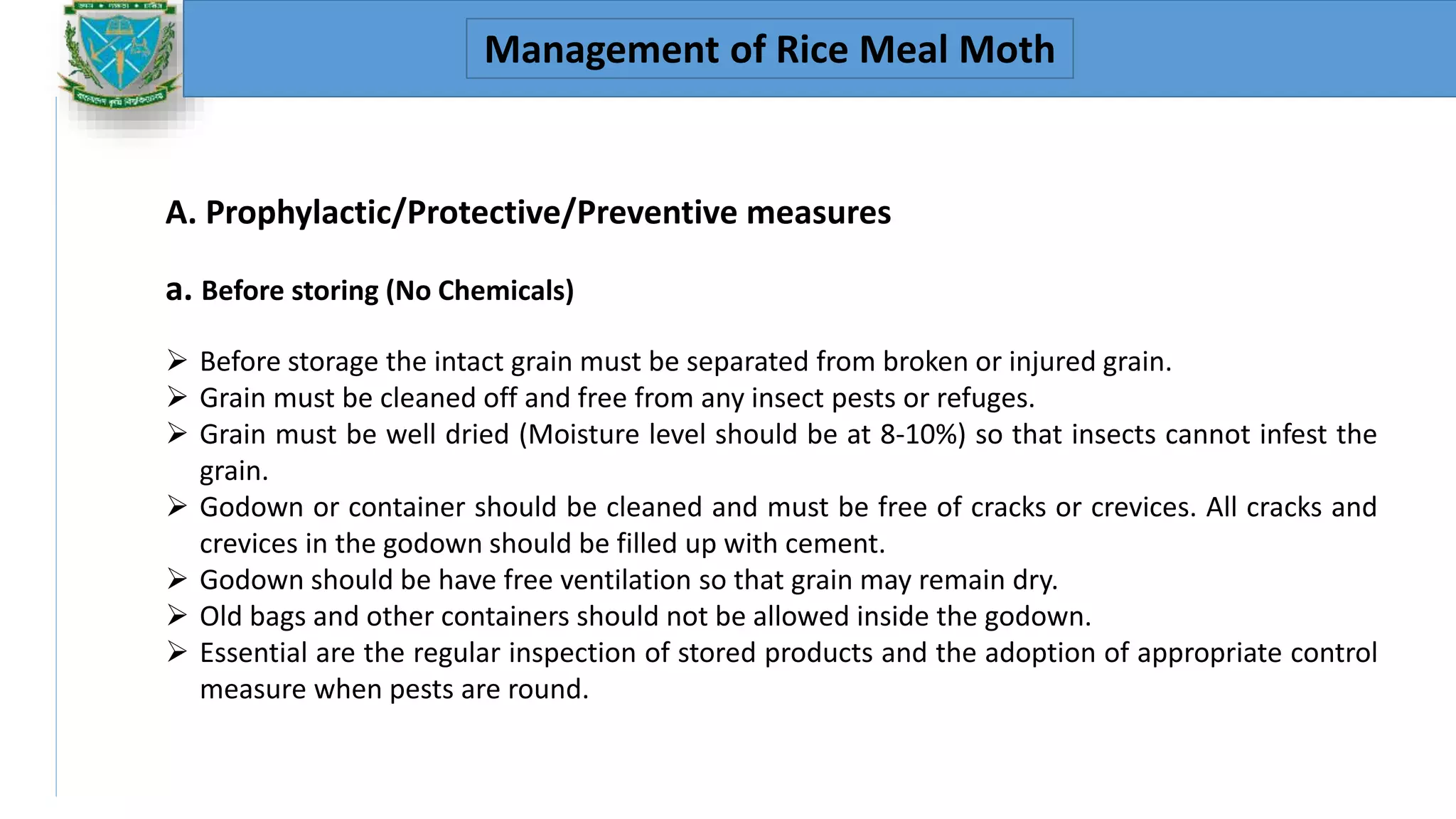 Bioecology and management of rice meal moth | PPTX