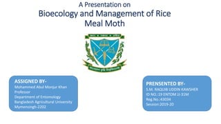 A Presentation on
Bioecology and Management of Rice
Meal Moth
PRENSENTED BY-
S.M. RAQUIB UDDIN KAWSHER
ID NO.:19 ENTOM JJ-31M
Reg.No.:43034
Session:2019-20
ASSIGNED BY-
Mohammed Abul Monjur Khan
Professor
Department of Entomology
Bangladesh Agricultural University
Mymensingh-2202
 