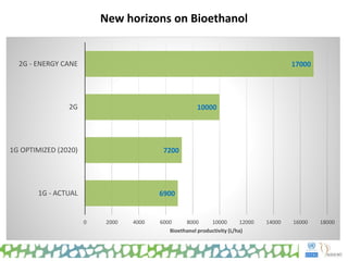 New horizons on Bioethanol
6900
7200
10000
17000
0 2000 4000 6000 8000 10000 12000 14000 16000 18000
1G - ACTUAL
1G OPTIMIZED (2020)
2G
2G - ENERGY CANE
Bioethanol productivity (L/ha)
 