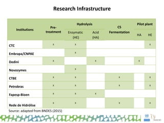 Research Infrastructure
Institutions
Pre-
treatment
Hydrolysis
C5
Fermentation
Pilot plant
Enzymatic
(HE)
Acid
(HA)
HA HE
CTC X X X
Embrapa/CNPAE X
Dedini X X X
Novozymes X
CTBE X X X X
Petrobras X X X X
Fapesp-Bioen X X X
Rede de Hidrólise
X X X X
Source: adapted from BNDES (2015)
 