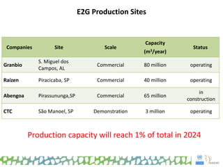 E2G Production Sites
Companies Site Scale
Capacity
(m3/year)
Status
Granbio
S. Miguel dos
Campos, AL
Commercial 80 million operating
Raízen Piracicaba, SP Commercial 40 million operating
Abengoa Pirassununga,SP Commercial 65 million
in
construction
CTC São Manoel, SP Demonstration 3 million operating
Production capacity will reach 1% of total in 2024
 