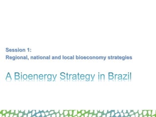 Session 1:
Regional, national and local bioeconomy strategies
 