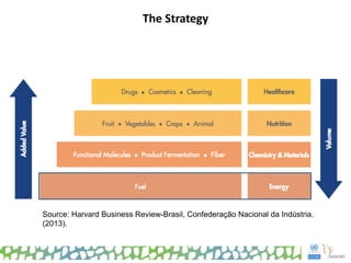 The Strategy
Source: Harvard Business Review-Brasil, Confederação Nacional da Indústria.
(2013).
 