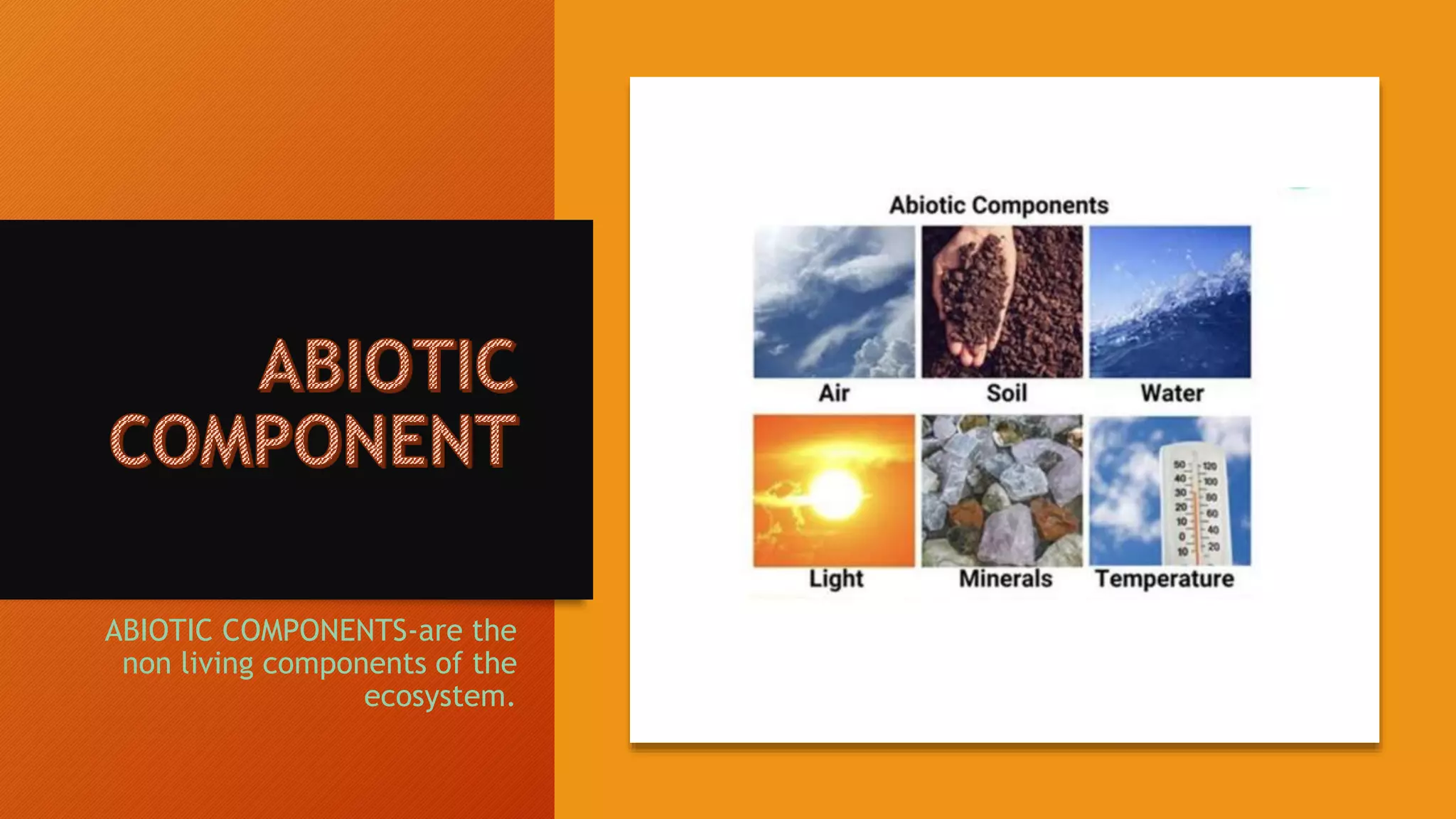 ABIOTIC COMPONENTS-are the
non living components of the
ecosystem.