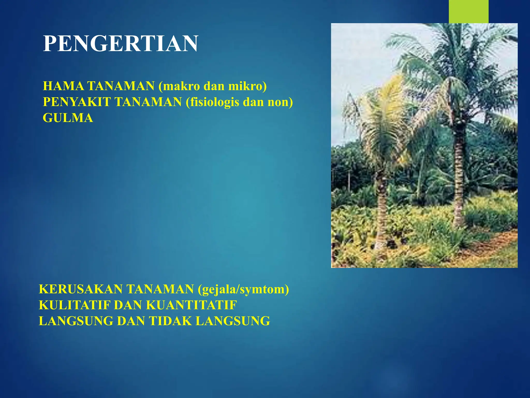 Bioekologi organisme pengganggu tumbuhan opt.pptx