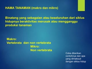 Bioekologi organisme pengganggu tumbuhan opt.pptx