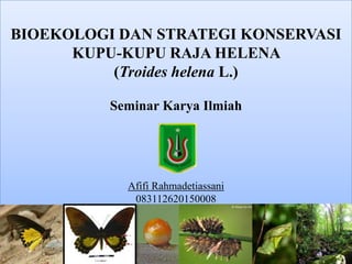 BIOEKOLOGI DAN STRATEGI KONSERVASI
      KUPU-KUPU RAJA HELENA
          (Troides helena L.)

          Seminar Karya Ilmiah




            Afifi Rahmadetiassani
             083112620150008
 