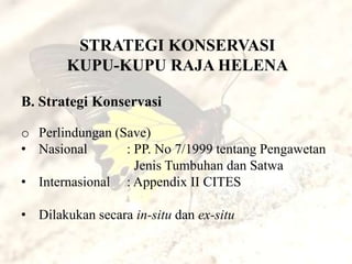 STRATEGI KONSERVASI
        KUPU-KUPU RAJA HELENA

B. Strategi Konservasi

o Perlindungan (Save)
• Nasional       : PP. No 7/1999 tentang Pengawetan
                   Jenis Tumbuhan dan Satwa
• Internasional : Appendix II CITES

• Dilakukan secara in-situ dan ex-situ
 