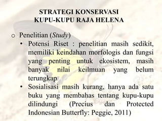 STRATEGI KONSERVASI
       KUPU-KUPU RAJA HELENA

o Penelitian (Study)
  • Potensi Riset : penelitian masih sedikit,
    memiliki keindahan morfologis dan fungsi
    yang penting untuk ekosistem, masih
    banyak nilai keilmuan yang belum
    terungkap
  • Sosialisasi masih kurang, hanya ada satu
    buku yang membahas tentang kupu-kupu
    dilindungi     (Precius   dan    Protected
    Indonesian Butterfly: Peggie, 2011)
 