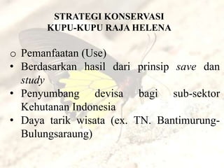 STRATEGI KONSERVASI
       KUPU-KUPU RAJA HELENA

o Pemanfaatan (Use)
• Berdasarkan hasil dari prinsip save dan
  study
• Penyumbang devisa bagi sub-sektor
  Kehutanan Indonesia
• Daya tarik wisata (ex. TN. Bantimurung-
  Bulungsaraung)
 