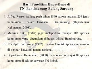 Hasil Penelitian Kupu-Kupu di
           TN. Bantimurung-Bulung Saraung

1. Alfred Russel Wallace pada tahun 1890 bahwa terdapat 256 jenis
  kupu-kupu      dalam kawasan         Bantimurung (Departemen
  Kehutanan, 2008).
2. Mattimu dkk., (1987) juga melaporkan terdapat 103 spesies
  kupu-kupu yang ditemukan di hutan wisata Bantimurung.
3. Noerdjito dan Amir (1992) menemukan 64 spesies kupu-kupu
  di sekitar kawasan taman nasional.
4. Departemen Kehutanan, (2008) melaporkan sebanyak 82 spesies
  kupu-kupu di sekitar kawasan TN Babul.
 
