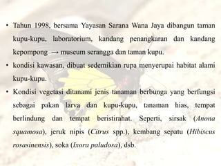 • Tahun 1998, bersama Yayasan Sarana Wana Jaya dibangun taman
  kupu-kupu, laboratorium, kandang penangkaran dan kandang
  kepompong → museum serangga dan taman kupu.
• kondisi kawasan, dibuat sedemikian rupa menyerupai habitat alami
  kupu-kupu.
• Kondisi vegetasi ditanami jenis tanaman berbunga yang berfungsi
  sebagai pakan larva dan kupu-kupu, tanaman hias, tempat
  berlindung dan tempat beristirahat. Seperti, sirsak (Anona
  squamosa), jeruk nipis (Citrus spp.), kembang sepatu (Hibiscus
  rosasinensis), soka (Ixora paludosa), dsb.
 
