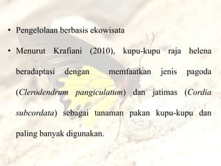 • Pengelolaan berbasis ekowisata

• Menurut Krafiani (2010), kupu-kupu raja helena

  beradaptasi   dengan       memfaatkan   jenis   pagoda

  (Clerodendrum pangiculatum) dan jatimas (Cordia

  subcordata) sebagai tanaman pakan kupu-kupu dan

  paling banyak digunakan.
 