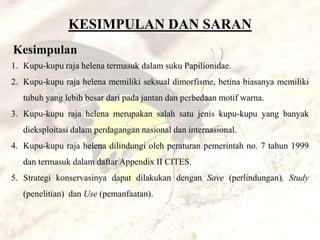 KESIMPULAN DAN SARAN
Kesimpulan
1. Kupu-kupu raja helena termasuk dalam suku Papilionidae.
2. Kupu-kupu raja helena memiliki seksual dimorfisme, betina biasanya memiliki
   tubuh yang lebih besar dari pada jantan dan perbedaan motif warna.
3. Kupu-kupu raja helena merupakan salah satu jenis kupu-kupu yang banyak
   dieksploitasi dalam perdagangan nasional dan internasional.
4. Kupu-kupu raja helena dilindungi oleh peraturan pemerintah no. 7 tahun 1999
   dan termasuk dalam daftar Appendix II CITES.
5. Strategi konservasinya dapat dilakukan dengan Save (perlindungan), Study
   (penelitian) dan Use (pemanfaatan).
 